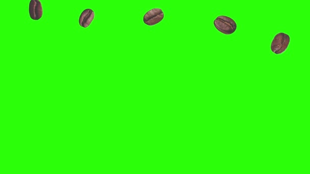 Café réaliste grains animation élément graphique sur écran vert chroma clé