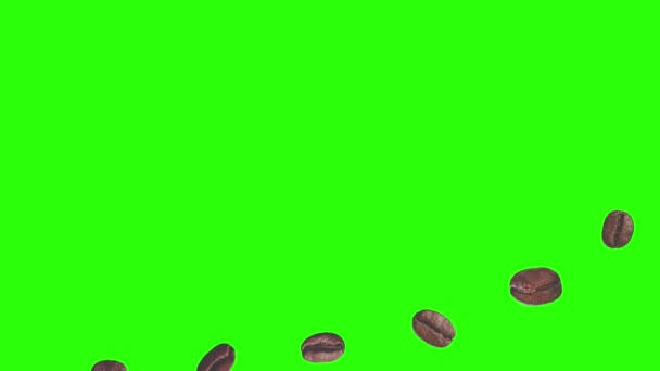 Realistische Koffiebonen Animatie Grafisch Element Groene Scherm Chroma Sleutel — Stockvideo