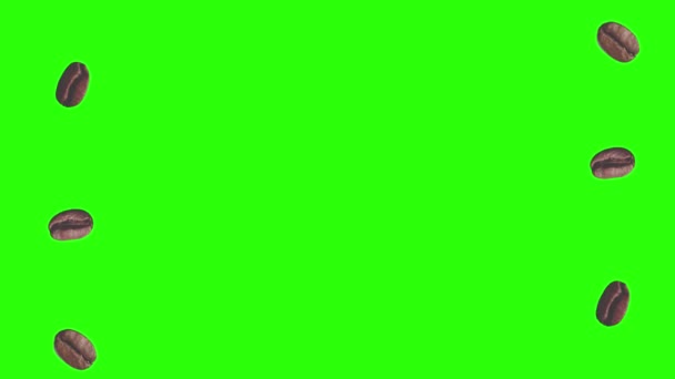 Café réaliste grains animation élément graphique sur écran vert chroma clé