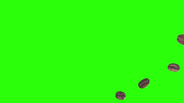 Café réaliste grains animation élément graphique sur écran vert chroma clé