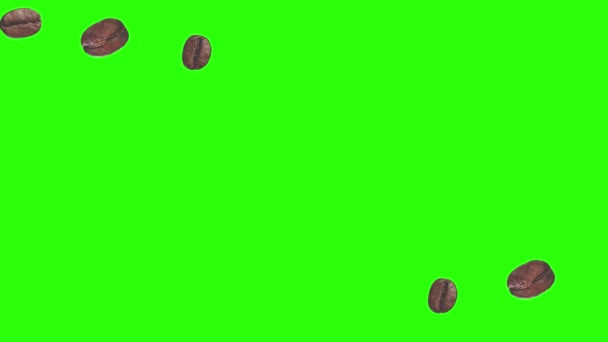 Realistische Koffiebonen Animatie Grafisch Element Groene Scherm Chroma Sleutel — Stockvideo