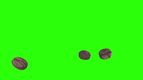 Realistische Kaffeebohnen Animation Grafisches Element Auf Grünem Bildschirm Chroma Taste — Stockvideo