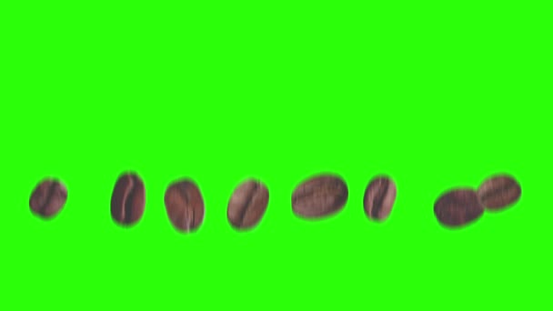 Realistische Kaffeebohnen Animation Grafisches Element Auf Grünem Bildschirm Chroma Taste — Stockvideo