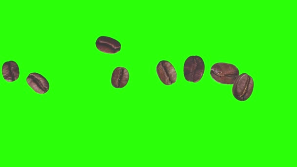 Café réaliste grains animation élément graphique sur écran vert chroma clé