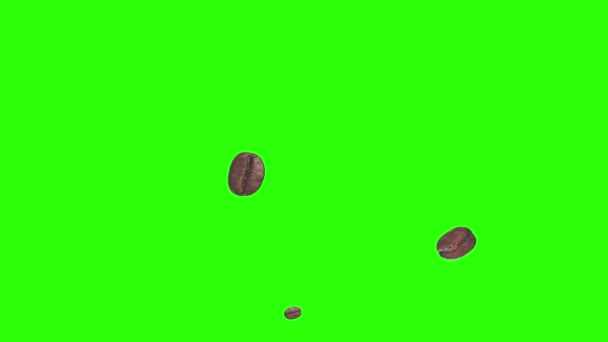 Realistische Koffiebonen Animatie Grafisch Element Groene Scherm Chroma Sleutel — Stockvideo