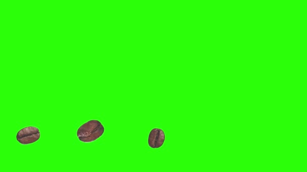Café réaliste grains animation élément graphique sur écran vert chroma clé