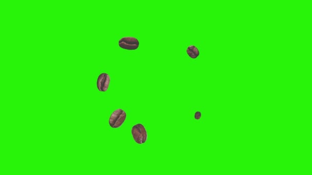 Realistische Koffiebonen Animatie Grafisch Element Groene Scherm Chroma Sleutel — Stockvideo