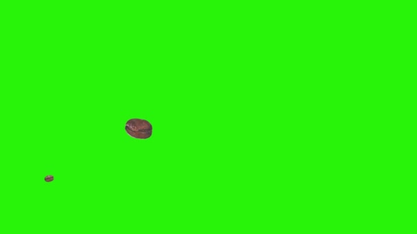 本物のコーヒー豆緑の画面上のアニメーショングラフィック要素クロマキー — ストック動画