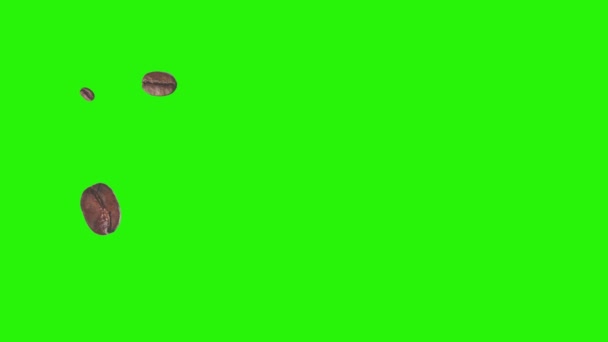 Realistische Koffiebonen Animatie Grafisch Element Groene Scherm Chroma Sleutel — Stockvideo