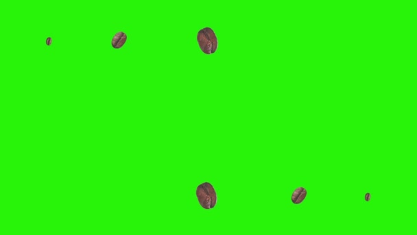 Realistische Kaffeebohnen Animation Grafisches Element Auf Grünem Bildschirm Chroma Taste — Stockvideo