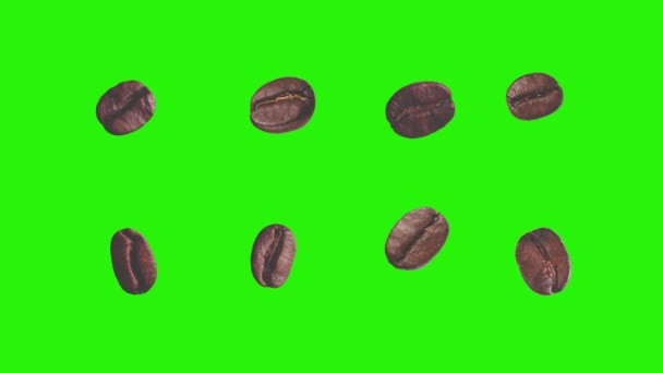 Realistische Kaffeebohnen Animation Grafisches Element Auf Grünem Bildschirm Chroma Taste — Stockvideo