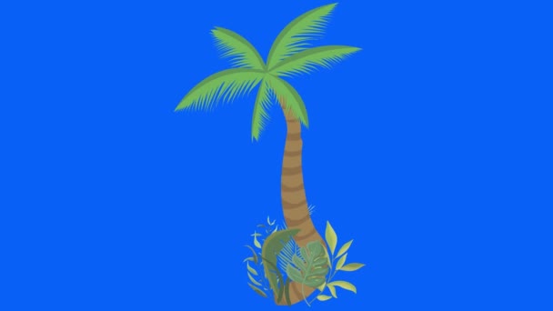 Palm Tree Moving Wind Chroma Key Seamless Loop Animation — Stock Video