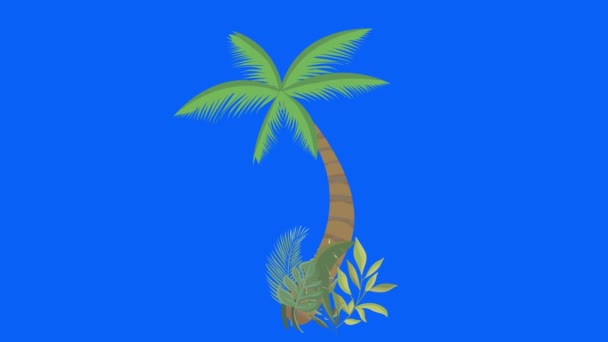 Пальмовое Дерево Перемещающееся Ветром Цветной Ключ Безморская Мультипликация — стоковое видео