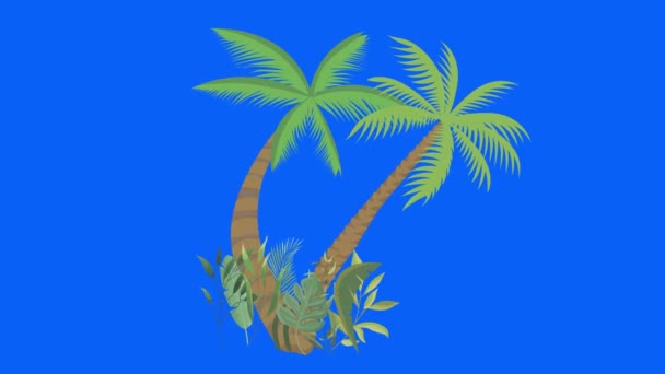 Palm Tree Moving Wind Chroma Key Seamless Loop Animation — Stock Video