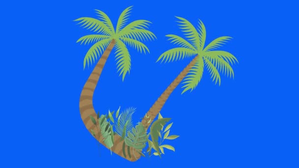 Пальмовое Дерево Перемещающееся Ветром Цветной Ключ Безморская Мультипликация — стоковое видео