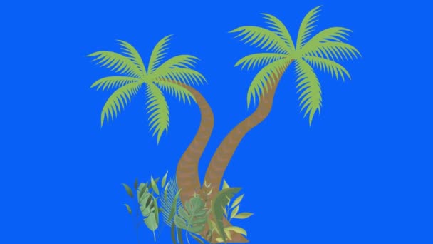 Palmeira Movendo Pelo Vento Chave Croma Animação Loop Sem Costura — Vídeo de Stock