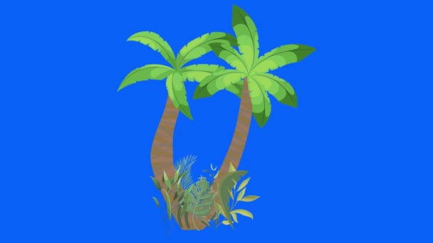 Palm Tree Moving Wind Chroma Key Seamless Loop Animation — Stock Video