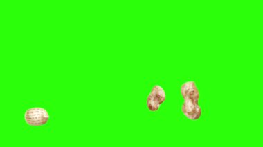 Yeşil ekran kroma anahtarı üzerinde yer fıstığı animasyon grubu, grafik kaynak elementler