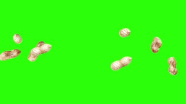 Yeşil ekran kroma anahtarı üzerinde yer fıstığı animasyon grubu, grafik kaynak elementler