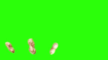 Yeşil ekran kroma anahtarı üzerinde yer fıstığı animasyon grubu, grafik kaynak elementler