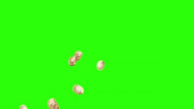 Yeşil ekran kroma anahtarı üzerinde yer fıstığı animasyon grubu, grafik kaynak elementler