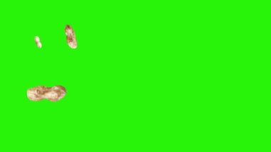 Yeşil ekran kroma anahtarı üzerinde yer fıstığı animasyon grubu, grafik kaynak elementler