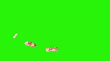 Yeşil ekran kroma anahtarı üzerinde yer fıstığı animasyon grubu, grafik kaynak elementler