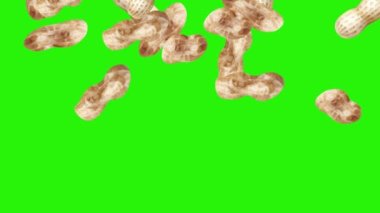 Yeşil ekran kroma anahtarı üzerinde yer fıstığı animasyon grubu, grafik kaynak elementler