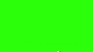 Yeşil ekran kroma anahtarı üzerinde yer fıstığı animasyon grubu, grafik kaynak elementler
