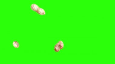 Yeşil ekran kroma anahtarı üzerinde yer fıstığı animasyon grubu, grafik kaynak elementler