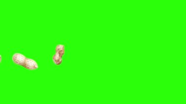 Yeşil ekran kroma anahtarı üzerinde yer fıstığı animasyon grubu, grafik kaynak elementler