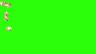 Yeşil ekran kroma anahtarı üzerinde yer fıstığı animasyon grubu, grafik kaynak elementler