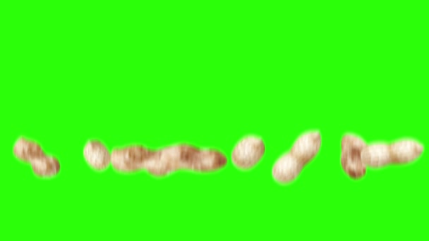 緑の画面上のピーナッツアニメーショングループクロマキー グラフィックソース要素 — ストック動画