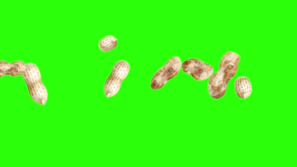 Groupe d'animation arachides sur écran vert chroma key, éléments graphiques source