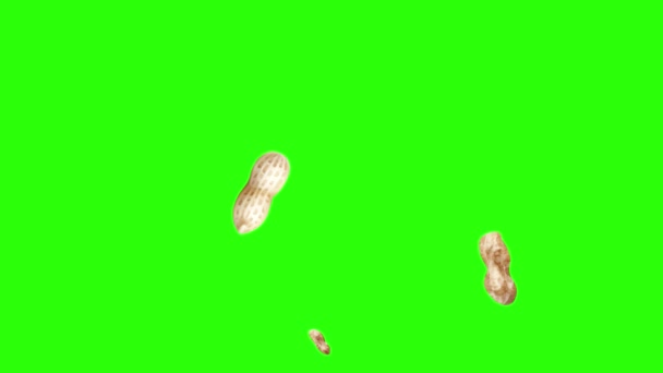 Groupe d'animation arachides sur écran vert chroma key, éléments graphiques source