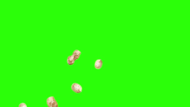 Groupe d'animation arachides sur écran vert chroma key, éléments graphiques source
