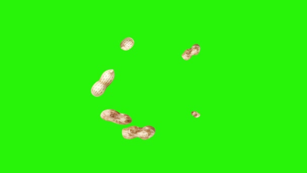 Grupo Animación Cacahuetes Clave Croma Pantalla Verde Elementos Fuente Gráfica — Vídeo de stock