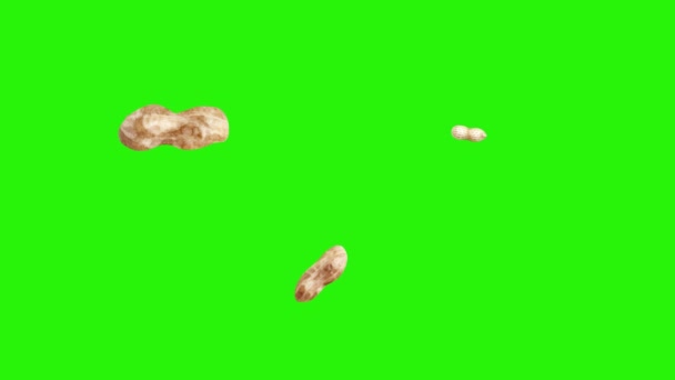 Grupo Animación Cacahuetes Clave Croma Pantalla Verde Elementos Fuente Gráfica — Vídeo de stock