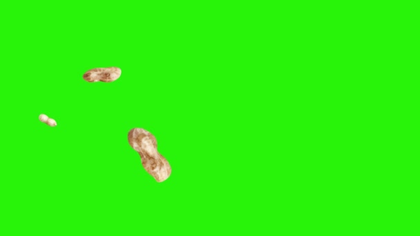 Groupe d'animation arachides sur écran vert chroma key, éléments graphiques source