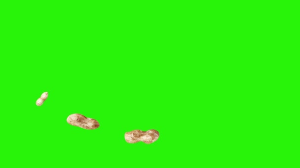 Groupe d'animation arachides sur écran vert chroma key, éléments graphiques source