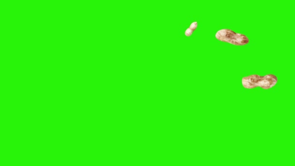 绿色屏幕色键上的花生动画组 图形源元素 — 图库视频影像