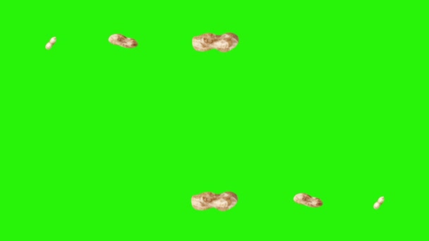 Groupe d'animation arachides sur écran vert chroma key, éléments graphiques source