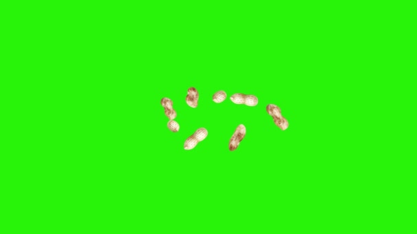 Grupo Animación Cacahuetes Clave Croma Pantalla Verde Elementos Fuente Gráfica — Vídeos de Stock