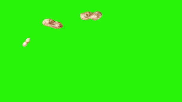 Groupe d'animation arachides sur écran vert chroma key, éléments graphiques source