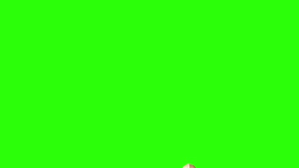 Peanuts Animation Group Green Screen Chroma Key Graphic Source Elements — Stock Video