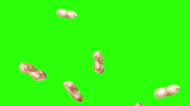 Groupe d'animation arachides sur écran vert chroma key, éléments graphiques source