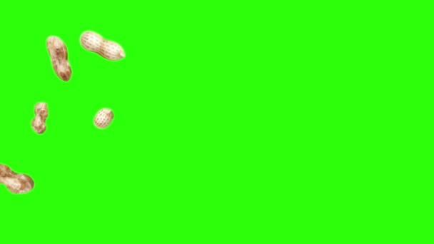 Groupe d'animation arachides sur écran vert chroma key, éléments graphiques source