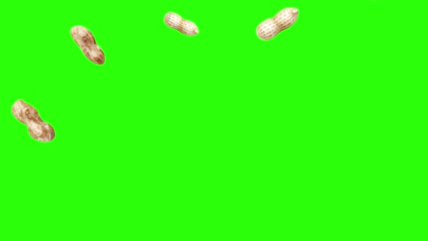 Groupe d'animation arachides sur écran vert chroma key, éléments graphiques source