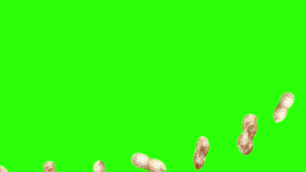 Groupe d'animation arachides sur écran vert chroma key, éléments graphiques source
