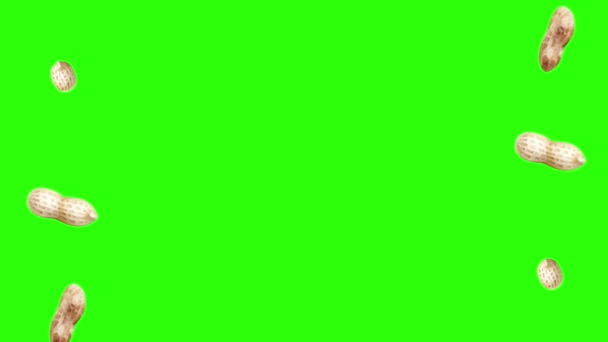 Gruppo Animazione Arachidi Chiave Cromatica Schermo Verde Elementi Origine Grafica — Video Stock